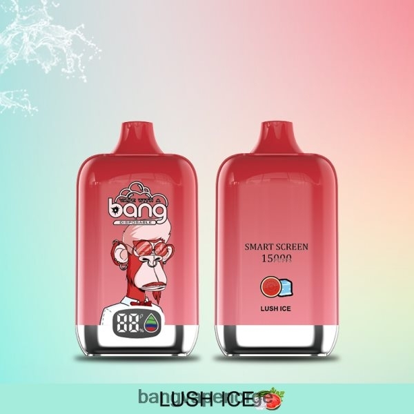 Vape Gang Norge - Bang Vape Digital Smart Screen 15000 drag 25ml 2B260F11 engangs