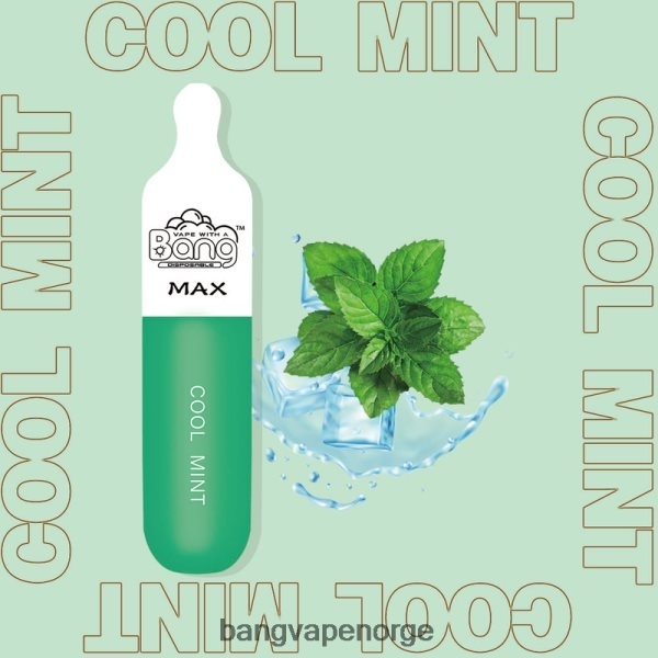 Bang Disposable Vape Review - Bang Vape Max 5000 puff bar 2B260F10 engangs