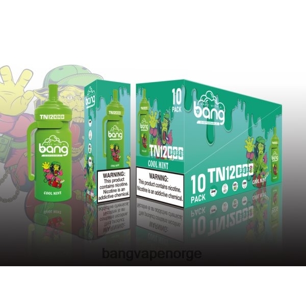 Vape Gang Disposables - Bang Vape TN12000 pod med mesh coil 2B260F5 engangs