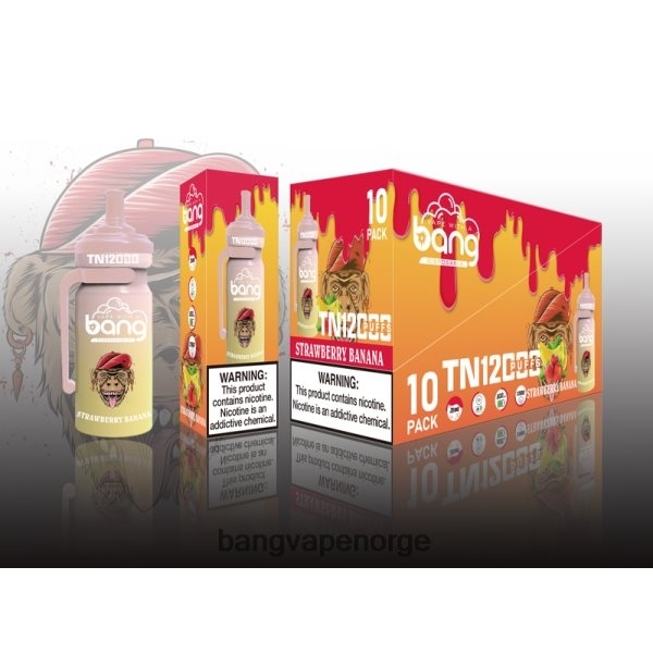 Vape Gang Disposables - Bang Vape TN12000 pod med mesh coil 2B260F5 engangs