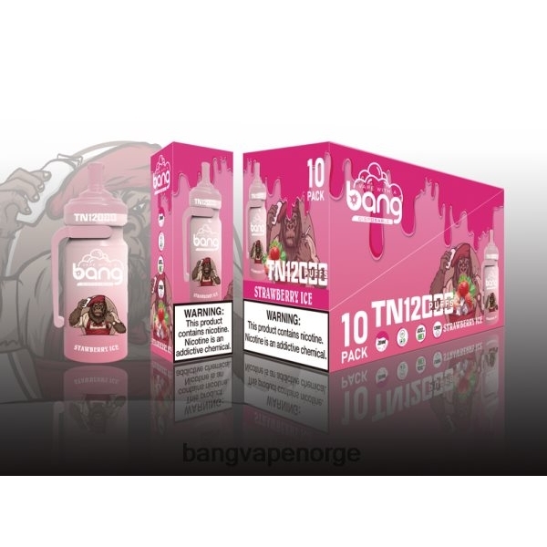 Vape Gang Disposables - Bang Vape TN12000 pod med mesh coil 2B260F5 engangs