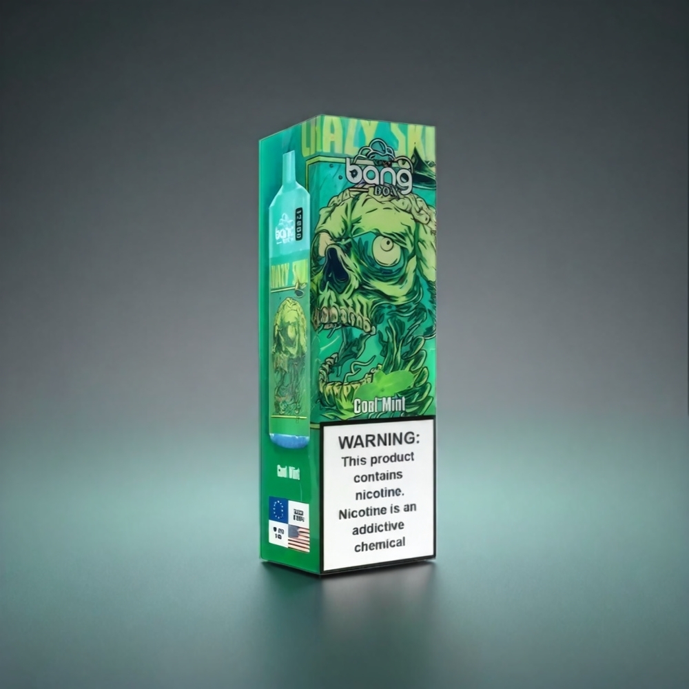Bang Box 12000 Puffs Norge Engros Vape Kjølig Mynte – 23ML Liquid, 650mAh Battery, TYPE-C USB, 0%-5% Salt Nic