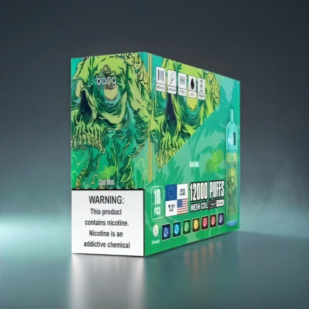 Bang Box 12000 Puffs Norge Engros Vape Kjølig Mynte – 23ML Liquid, 650mAh Battery, TYPE-C USB, 0%-5% Salt Nic