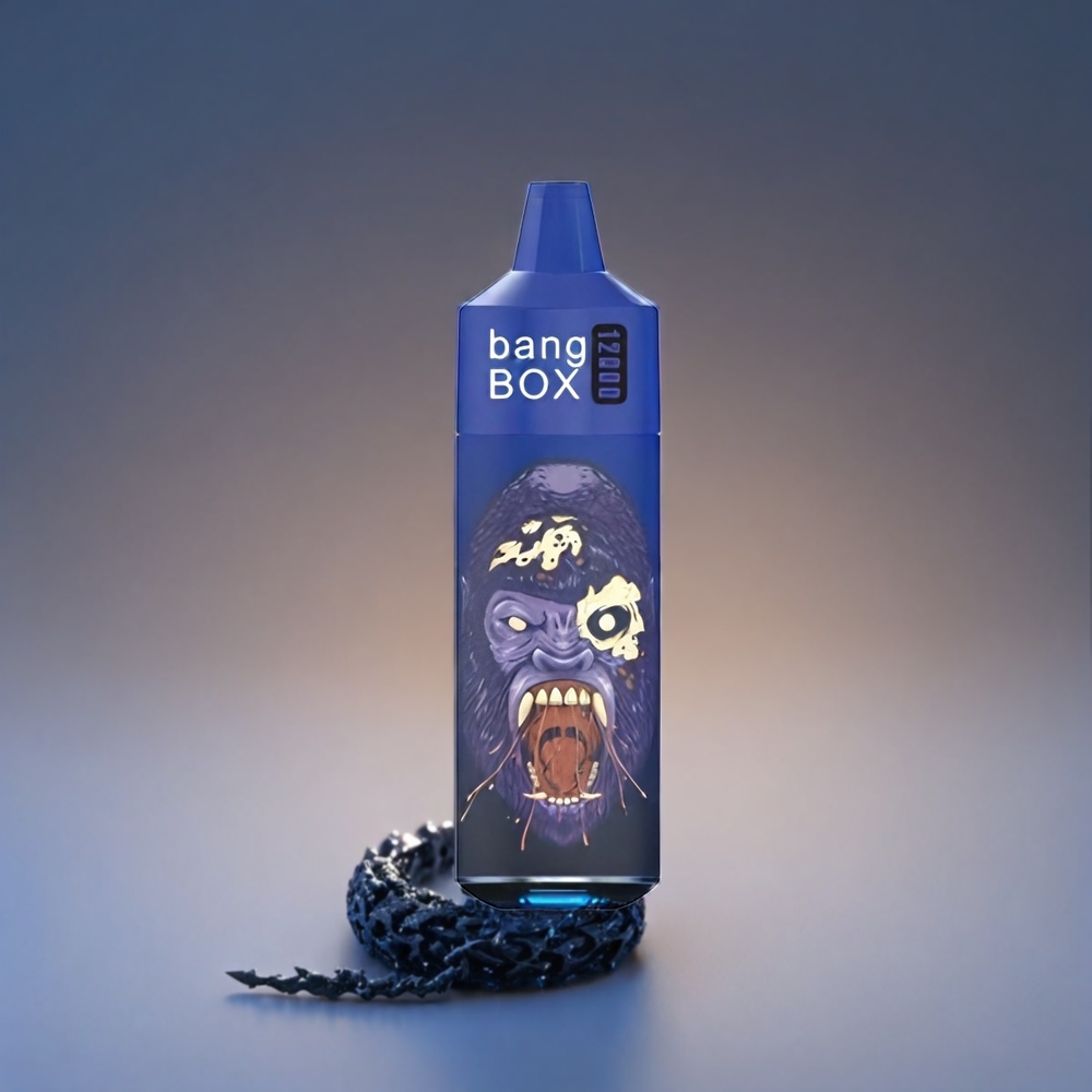 Norge engros Bang Box 12000 Puffs 23ML Svart Drage Is 650mAh TYPE-C Salt Nic 0%-5% 10 stk