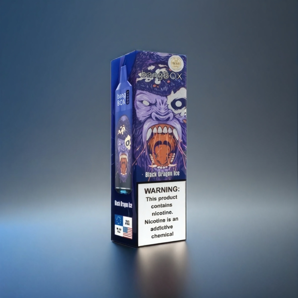 Norge engros Bang Box 12000 Puffs 23ML Svart Drage Is 650mAh TYPE-C Salt Nic 0%-5% 10 stk