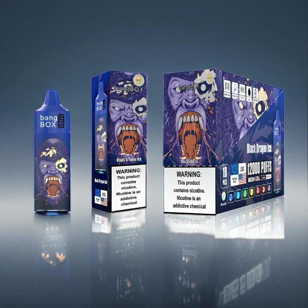 Norge engros Bang Box 12000 Puffs 23ML Svart Drage Is 650mAh TYPE-C Salt Nic 0%-5% 10 stk