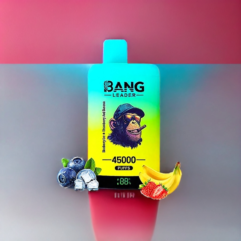 Bang Leader 45000 Puffs Norge Engros Engangs vape Blåbær Is Jordbær Banan med Smart Skjerm og Type-C Lading