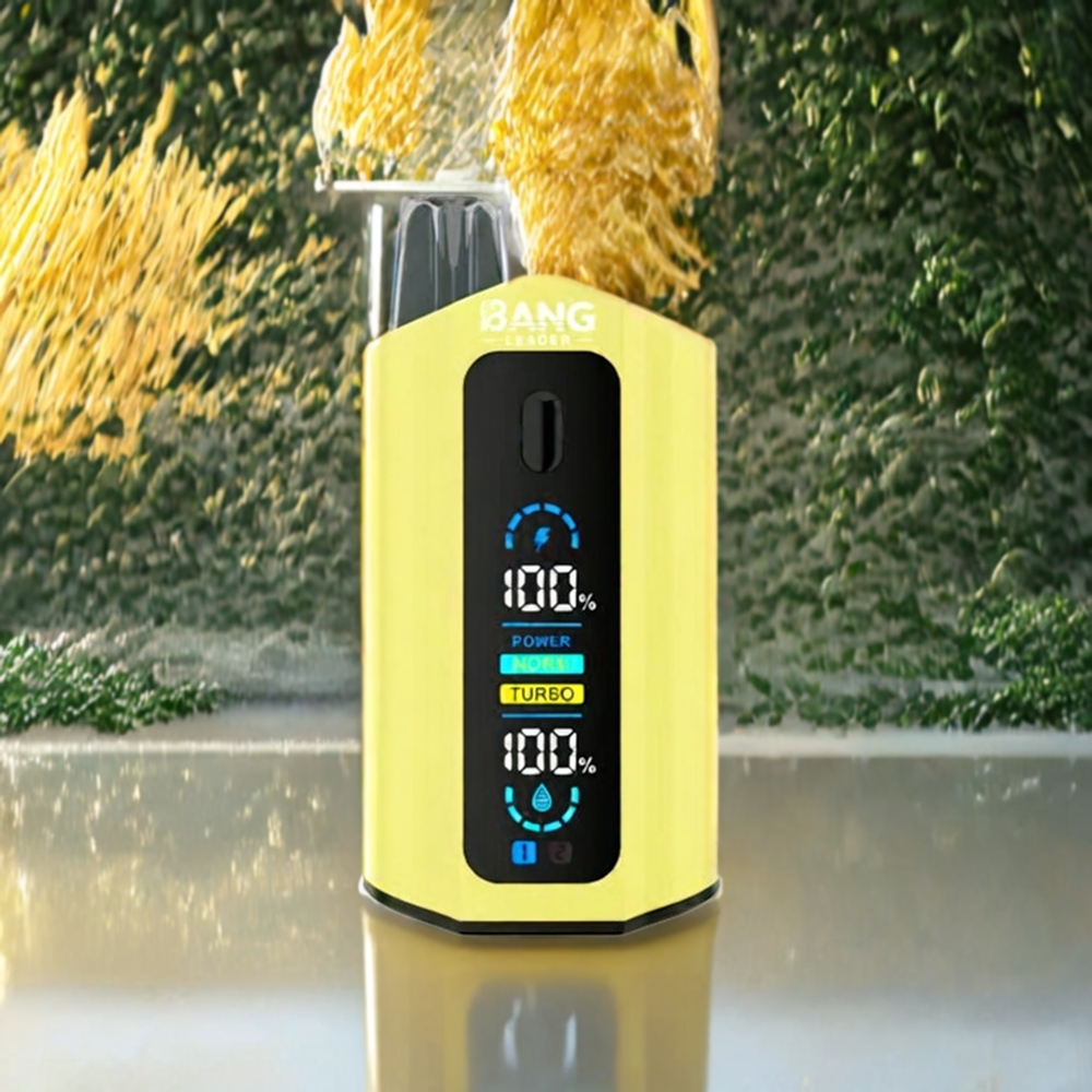 Bang Leader 50000 Puffs Norge Engros Engangs vape Ananas Passionsfrukt Ananas Is med 13400mAh Batteri og 36ml E-væske