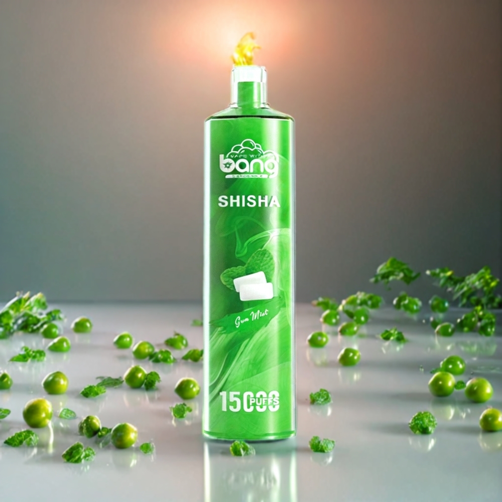Bang Shisha 15000 Puffs Norge Engros Engangs vape Gum Mint 23ml Type-C