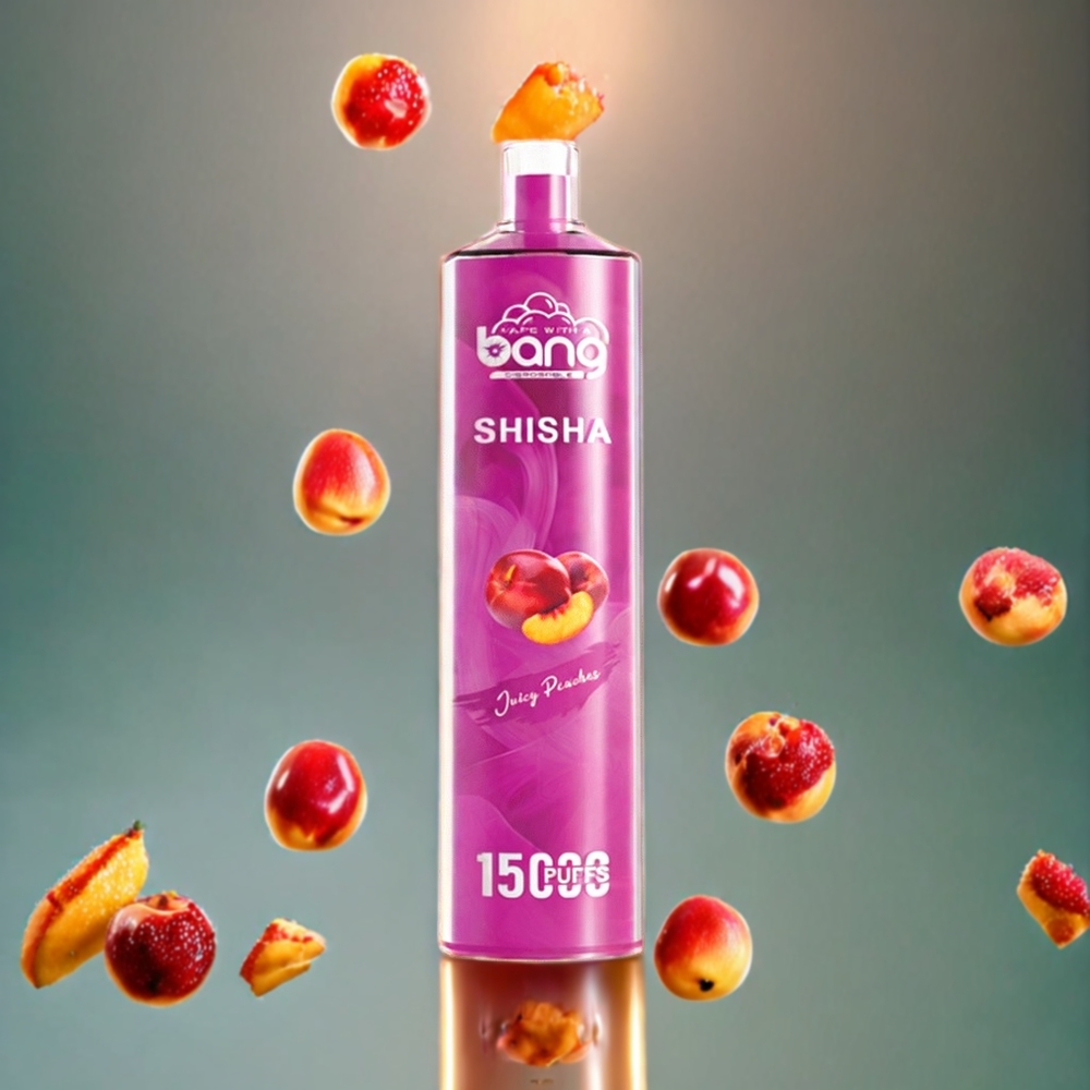 Bang Shisha 15000 Puffs Norge Engros Engangs vape Juicy Peaches 23ml E-liquid Type-C Lading 600mAh Batteri