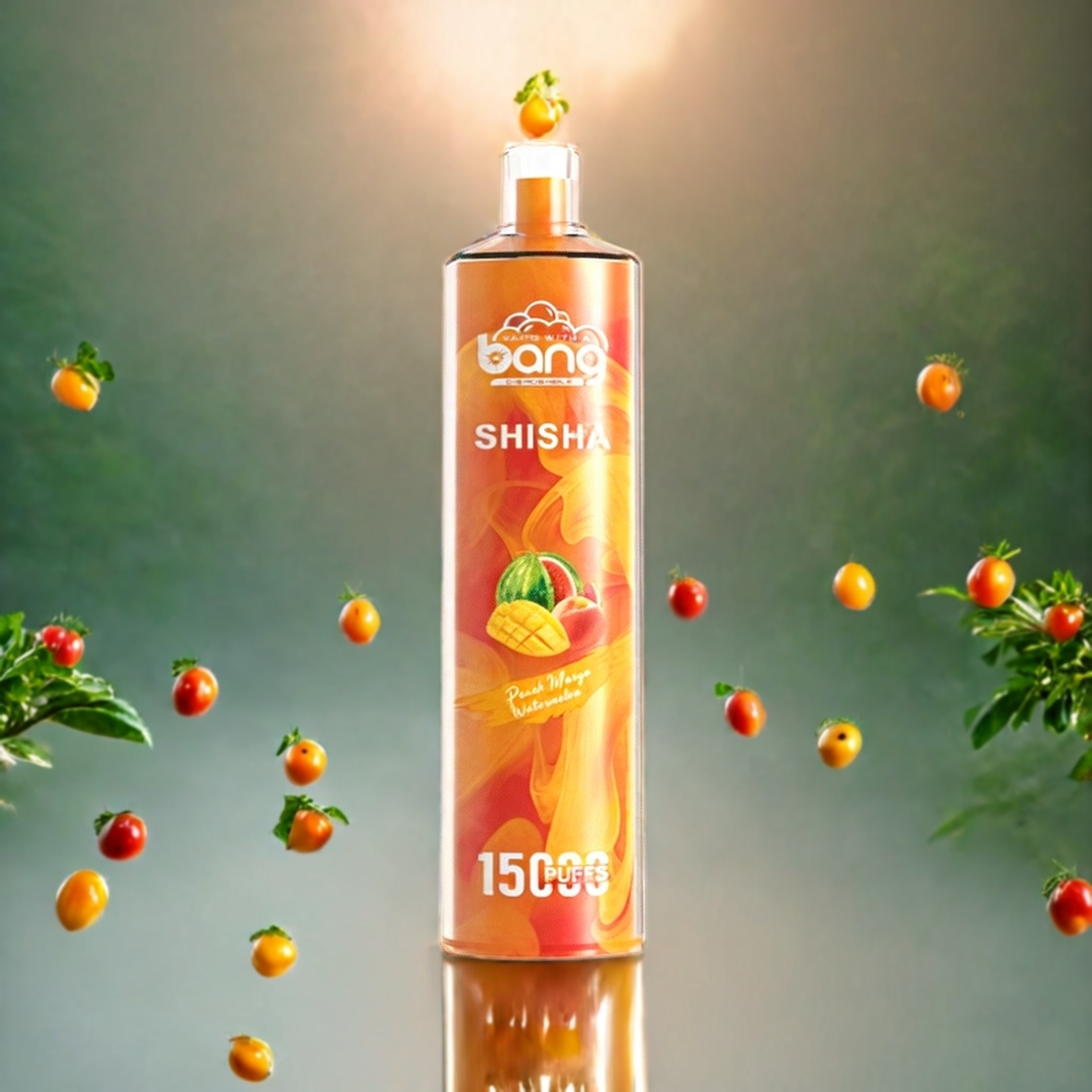 Bang Shisha Norge Engros 15000 Puffs Engangs vape Peach Mango Vannmelon med Type-C Lading og 600mAh Batteri