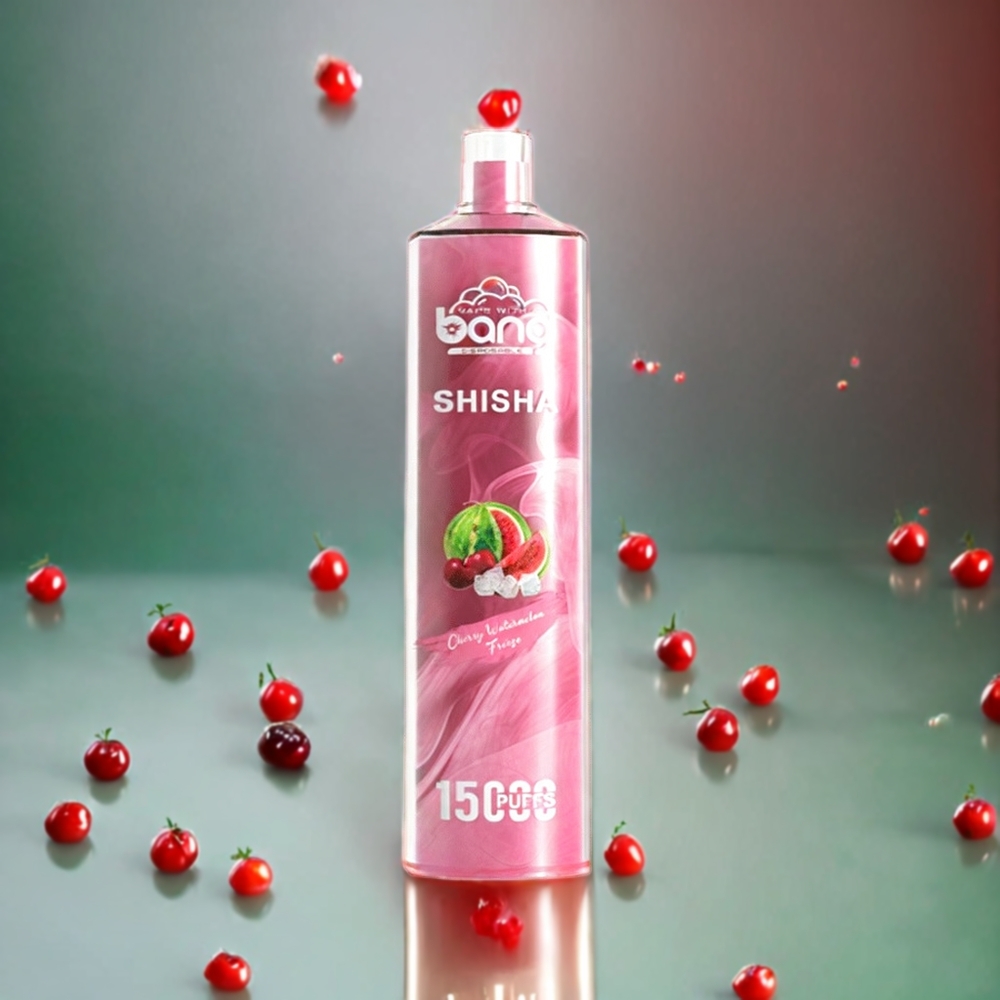 Norge engros Bang Shisha 15000 Puffs Norge Engros Engangs vape