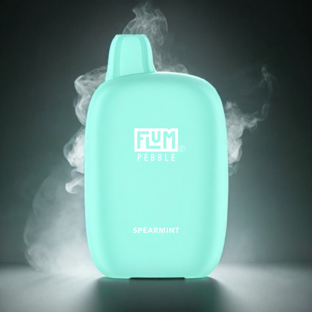 Flum Pebble Norge Engros 6000 Puffs 10ml 5% Nikotin 500mAh Mesh Coil Type-C Ladbar Vape Spearmynte