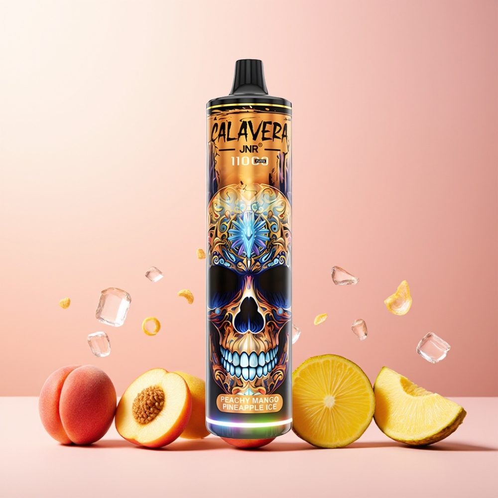 JNR Calavera 11000 Puffs Norge Engros Vape til engangsbruk Fersken Mango Ananas Is med Type-C lading og 850 mAh batteri