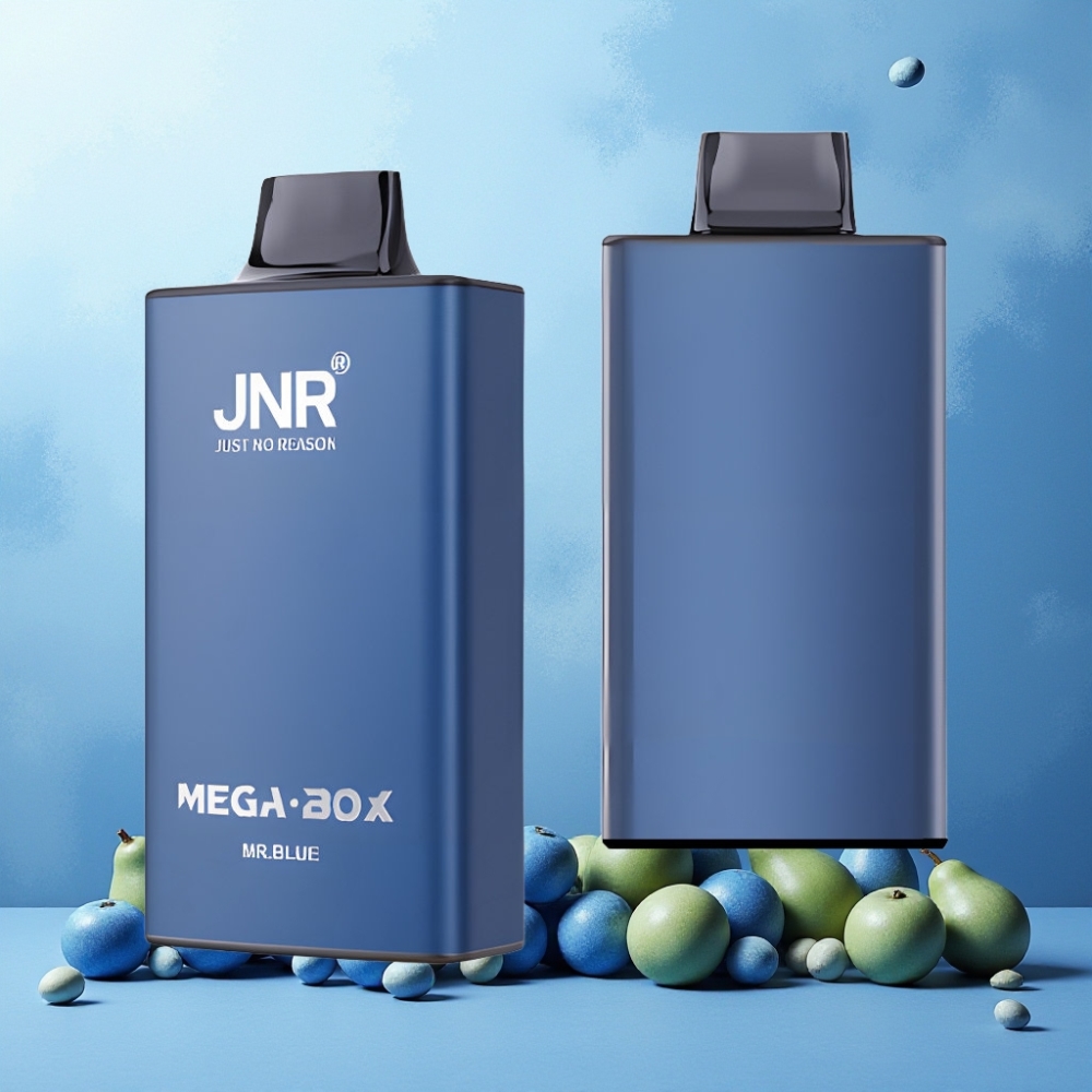 JNR Mega Box 25000 Puffs Norge Engros – 30ml E-liquid, 850mAh, Type-C, Dual Mesh, 2% Nikotin (Herr Blå)