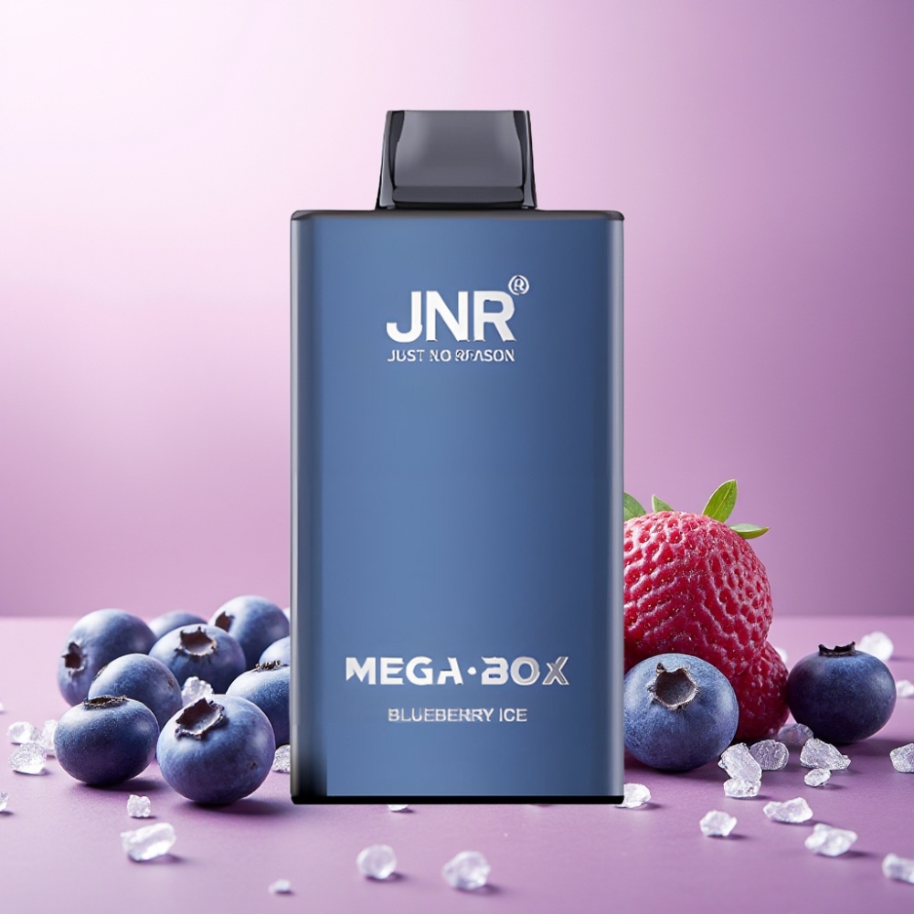 JNR Mega Box 25000 Puffs Norge Engros – 30ml E-liquid, 850mAh, Type-C Lading, Blåbær Is
