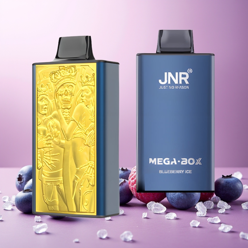JNR Mega Box 25000 Puffs Norge Engros – 30ml E-liquid, 850mAh, Type-C Lading, Blåbær Is