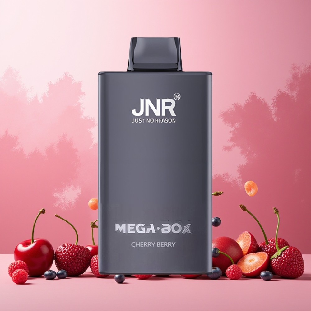 JNR Mega Box Norge Engros 25000 Puffs 30ml E-liquid 850mAh Dual Mesh Coil Type-C Cherry Berry Vape til engangsbruk