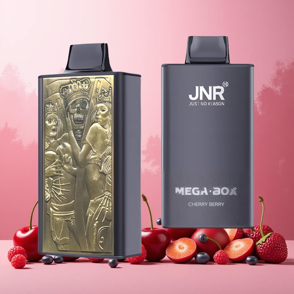JNR Mega Box Norge Engros 25000 Puffs 30ml E-liquid 850mAh Dual Mesh Coil Type-C Cherry Berry Vape til engangsbruk