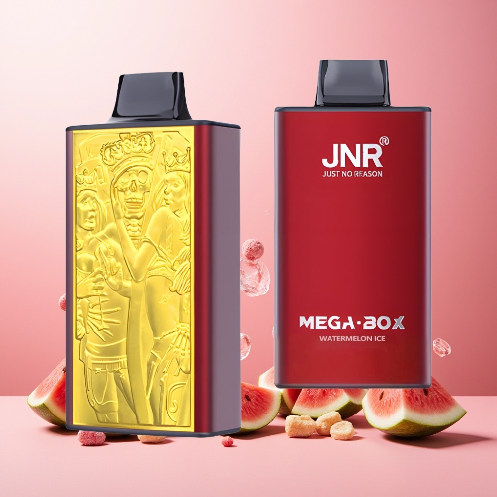 JNR Mega Box Norge Engros 25000 Puffs Vape til engangsbruk 30ml Vannmelon Is Type-C Lading