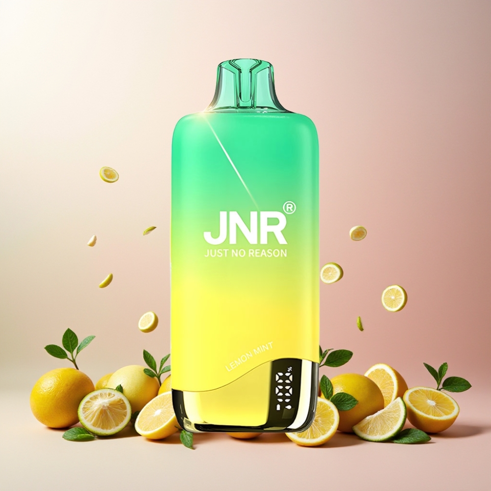 JNR Rainbow 10500 Puffs Norge Engros Engangs Vape Sitron Mynte med 600mAh Batteri, 18ml Tank, USB-C Lading