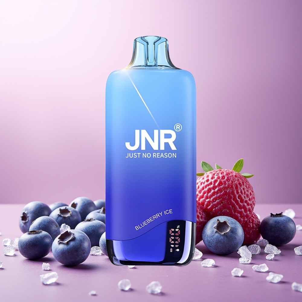 JNR Rainbow 10500 Puffs Norge Engros Vape til engangsbruk Blåbær Is med 600mAh Batteri, 18ml Tank og USB Type-C Lading