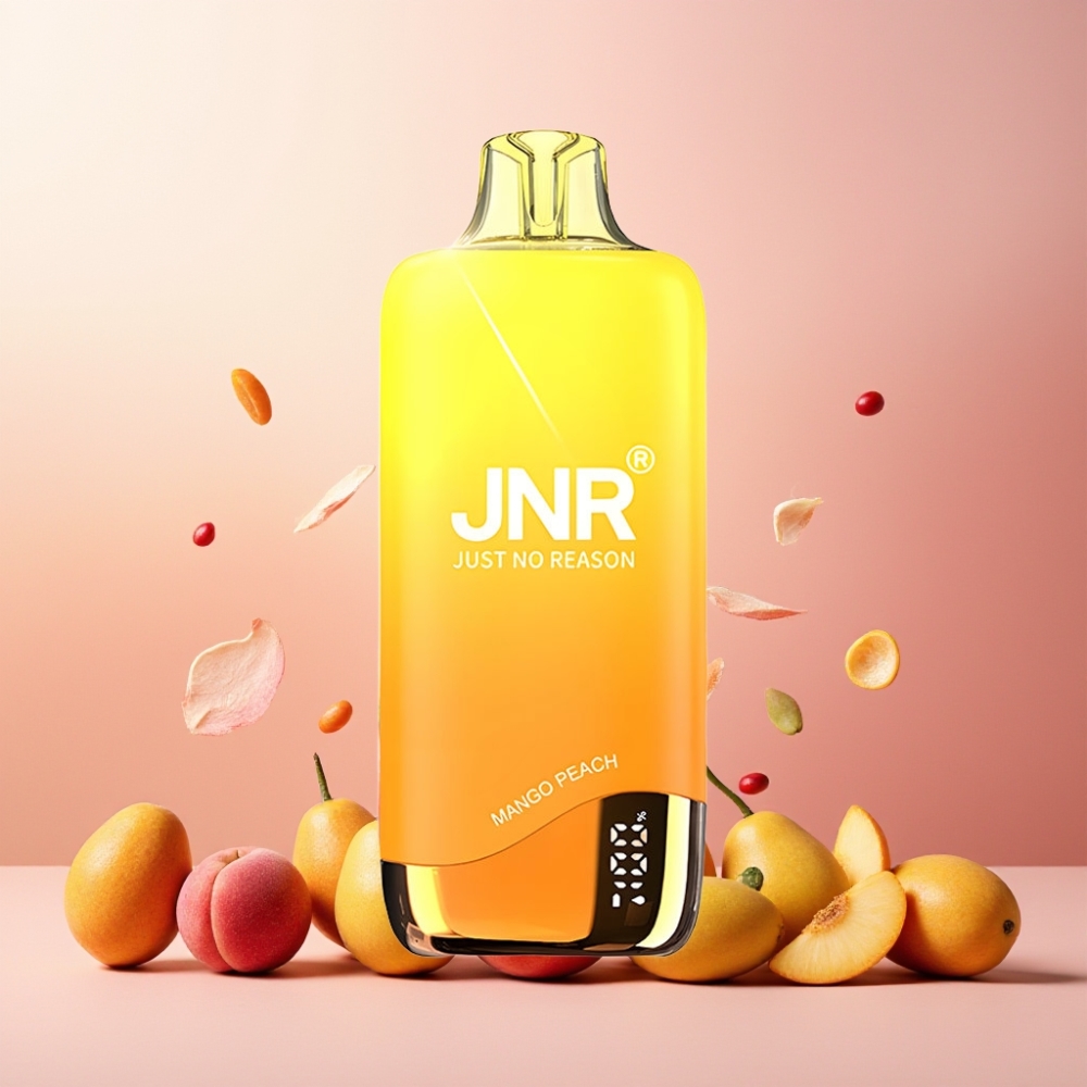 JNR Rainbow Norge Engros 10500 Puffs Vape til engangsbruk Mango Peach 18ml 600mAh USB-C
