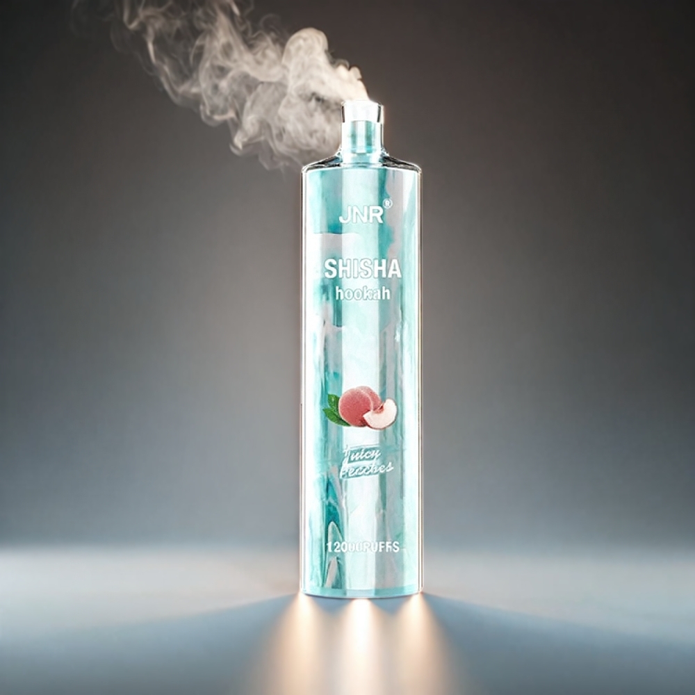 JNR Shisha Hookah 12000 Puffs Norge Engros – 750mAh Batteri, 24ml E-væske, Type-C Lading, 0.6 Ohm Mesh Coil, 10 Stk/Pakke, Juicy Peaches (Saftige Fersken)