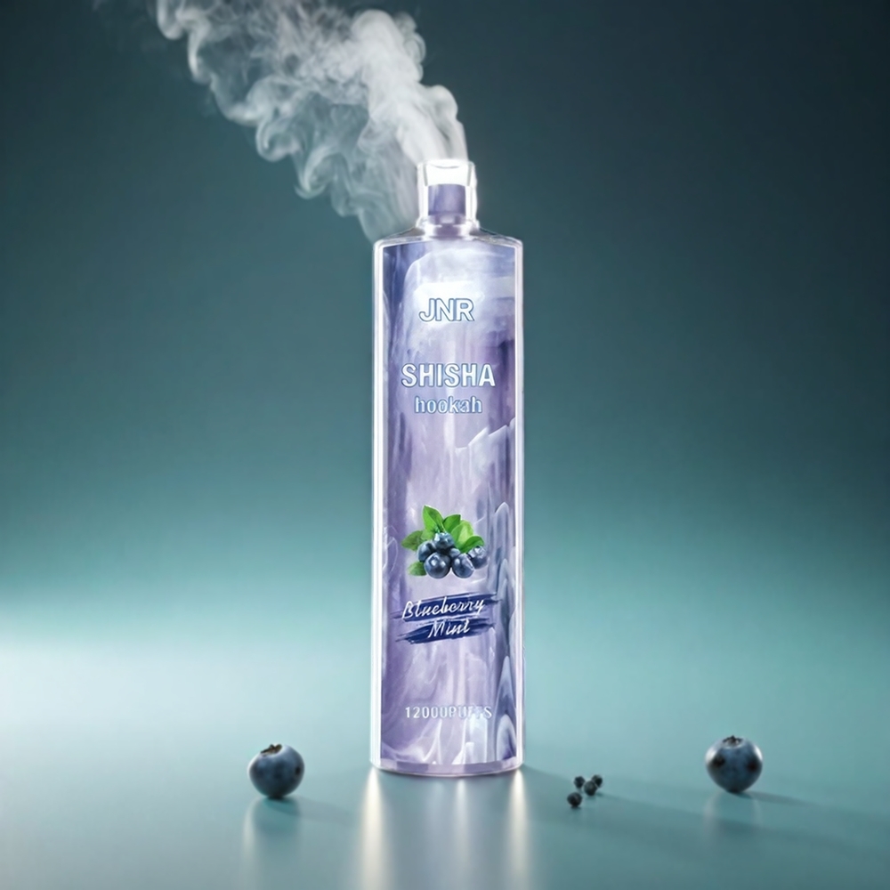 JNR Shisha Hookah 12000 Puffs Norge Engros – 750mAh Type-C – Blåbær Mynte – 24ml 0.6 Ohm Mesh Coil