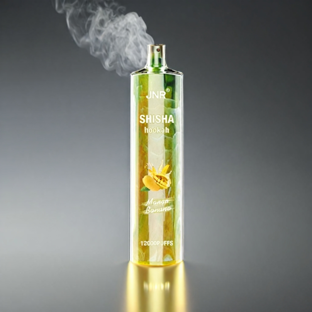 JNR Shisha Hookah 12000 Puffs Norge Engros 750mAh Type-C Lading 24ml Mango Banan