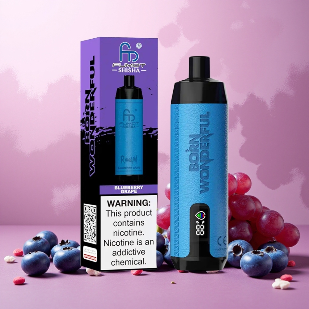 RandM Fumot Shisha Norge Engros 10000 Puffs 18ml Blåbær Drue Vape til engangsbruk med LED Indikator og Type-C Lading