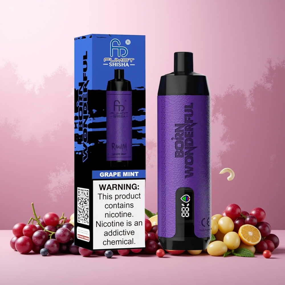 RandM Fumot Shisha Norge Engros 10000 Puffs 18ml Drupe Mynte Engangs Vape med LED Indikator og Type-C Lading