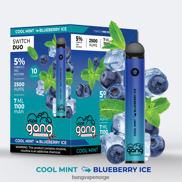 Bang Vape 5000 Puffs Nicotine - Vape Gang Switch Duo 2 smaker (eske med 10) 2B260F39 aloe drue - aloe bær