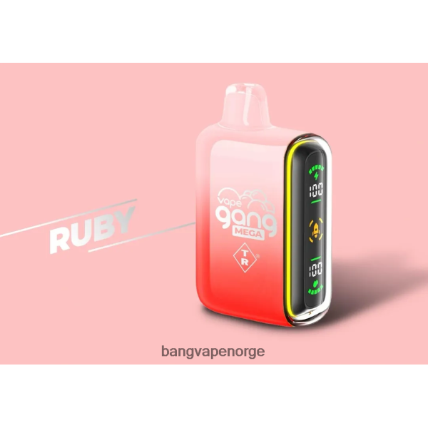 Bang Vape Disposable - Vape Gang MEGA 20 000 puffs engangsvape (eske med 5) 2B260F58 rubin