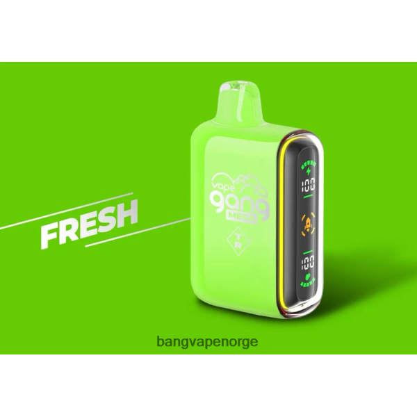 Bang Vape Norge - Vape Gang MEGA 20 000 puffs engangsvape (eske med 5) 2B260F53 fersk