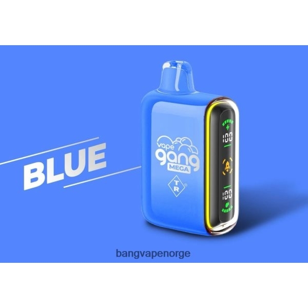Vape Gang Norge - Vape Gang MEGA 20 000 puffs engangsvape (eske med 5) 2B260F52 blå
