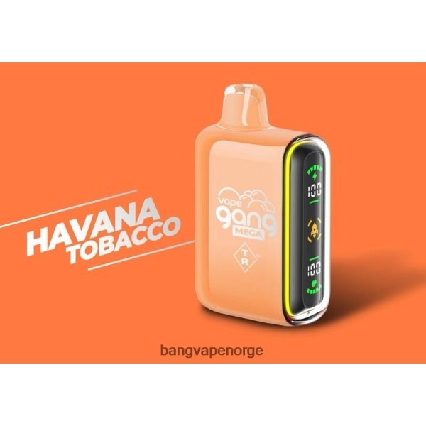 Vape Gang Oslo - Vape Gang MEGA 20 000 puffs engangsvape (eske med 5) 2B260F55 havana tobakk