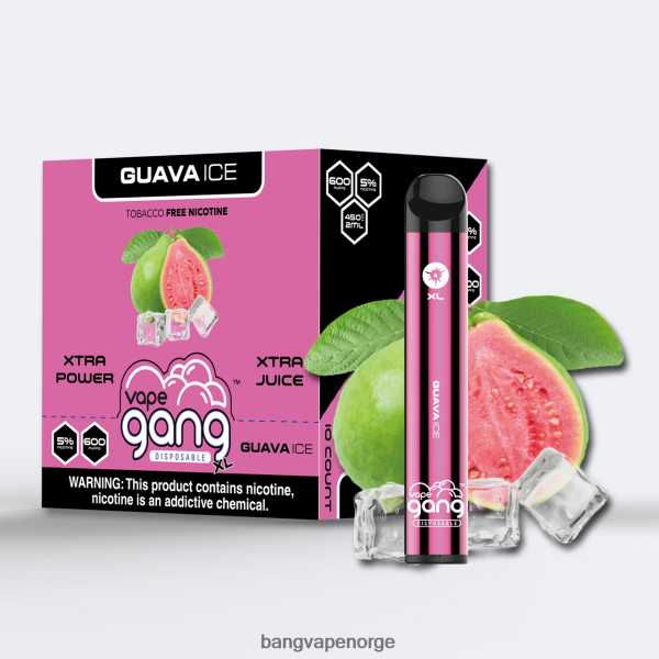 Bang Disposable Vape Review - Vape Gang XL engangsvapes 600 puff (eske med 10) 2B260F72 guava is
